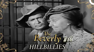 The Beverly Hillbillies - Special Part 16 | Classic Hollywood TV Series