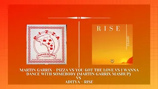 Aditya - Rise V/S Martin Garrix - Pizza VS You Got The Love (Martin Garrix mashup)