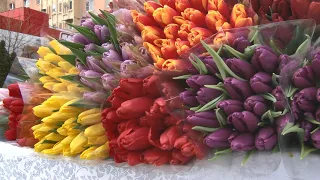 Цветочные ярмарки открылись в Анапе