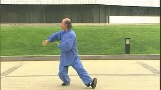 kung fu tbx - wudang tai chi 108 form