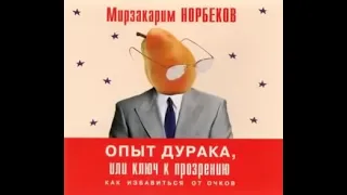 Аудиокнига.  Опыт дурака или ключ к прозрению  Норбеков М С