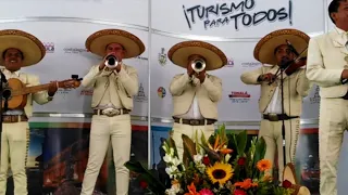 Viva quien sabe querer - Mariachi Internacional "Espuela de Oro" de Guadalajara Jalisco