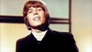 NEW * There's A Kind Of Hush - Herman's Hermits {Stereo}