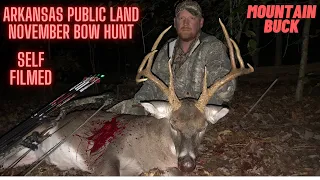 Hunting Public Land Arkansas 6 1/2 year old Mountain Buck - Bow Kill - Self filmed