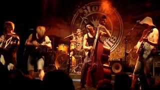 Steve `n` Seagulls; Antisocial