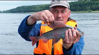 Ловля Хариуса на Енисее. Нашли яму с крупной рыбой - часть 1