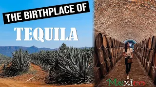 Visiting the Home of Tequila in Mexico! | TEQUILA Town and Distillery Tour + GUACHIMONTONES Guide