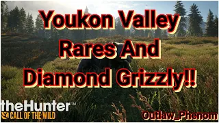 Yukon Valley Rares And Diamond Grizzly Bear!