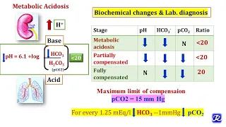 3: Metabolic Acidosis & Metabolic Alkalosis | Acid Base Balance | Biochemistry