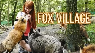 Fox Village in Zao Japan!  蔵王きつね村・kitsune mura