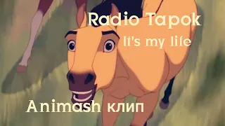 Animash | Radio Tapok — It's my life | Радио Тапок — Просто Знай