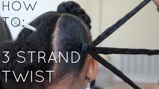 How To: 3 Strand Twist | Step by Step