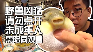 【井盖】【四月河豚】危！生吃河豚肉是什么体验？