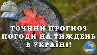 На українців чекають дощі й довгоочікуване потепління: де і коли зміниться погода