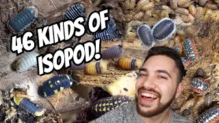 ISOPOD COLLECTION TOUR + FEEDING & WATERING (46 TYPES)