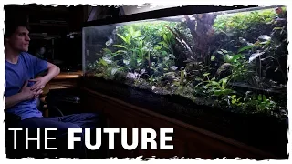 The Future of My 125g Vivarium