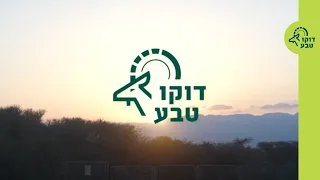 דוקו טבע - יוצאים לחופשי: השבת בעלי חיים לטבע