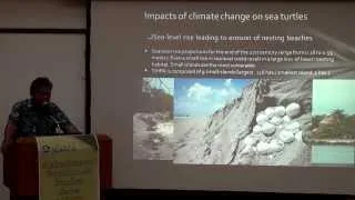 Sea Turtles and The Turtle Islands and Some Impacts of Climate Change
