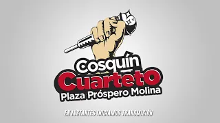 Cosquín Cuarteto 2022 - Transmisión en vivo de Zanella dia 1