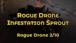 Rogue Drone Infestation Sprout - Eve Online Exploration Guide