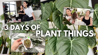 3 days of plant things 🖤 live stream BTS, repot & chat, ecuagenera popup, garden centre shopping