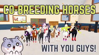 CO-BREEDING HORSES WITH MY SUBSCRIBERS! | Wild Horse Islands