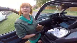 Hedgehog rescue