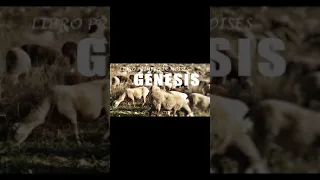 GÉNESIS Capitulo 37-50  JOSÉ, Sufrimiento y Gloria