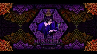 Muscaria Live Set Psyland