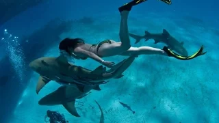 GoPro sharks. Невероятный дайвинг с акулами. Amazing diving with sharks.