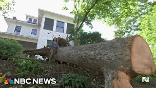 Severe storms hit Florida after week of violent weather