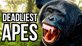 Ranking All 8 Great Apes From Least Deadly To Deadliest