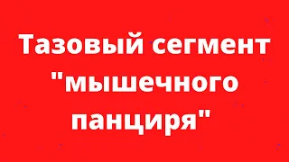 Тазовый сегмент "мышечного панциря"