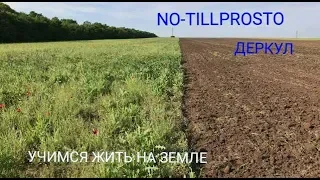 Сев подсолнечника.Зксперимент: NO-TILL против классики.21.04.2019г.