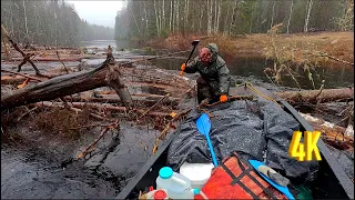 ПРЕОДОЛЕВАЯ ЗАВАЛЫ, ПОДНИМАЕМСЯ НА ГЛУХАРИНЫЙ ТОК, БУДЕТ ЛИ ТОЛК? 🤔