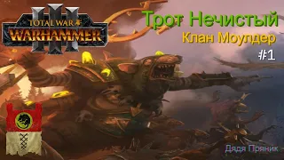 Гайд Трот Нечистый Total War: WARHAMMER 3 Клан Моулдер первые 10 ходов!!! Бессмертные Империи #1