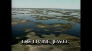 Okavango: Jewel of the Kalahari (PT2) (1988)