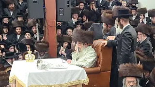 Thousands Gather For Hachnuses Sefer Torah By The Satmer Rabba Shlit"a In His Shul In Williamsburg