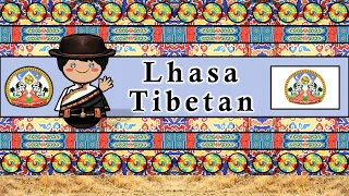 The Sound of the Lhasa Tibetan language / dialect (Numbers, Greetings & Sample Text)