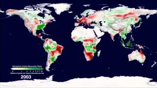 Plant Productivity in a Warming World