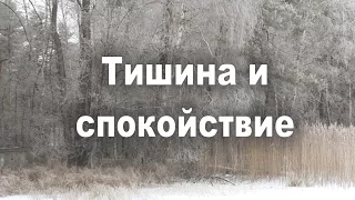 Э. Толле. Тишина и спокойствие. Медитация