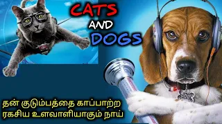 கலகலப்பான காமெடி திரைப்படம்|TVO|Tamil Voice Over|Tamil Dubbed Movies Explanation|Tamil Movies