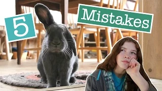 My 5 Rabbit Mistakes