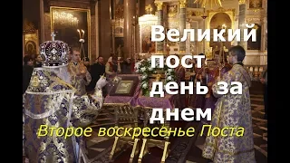 Великий пост день за днем. Второе воскресенье Поста. Григорий Палама