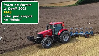 Work on a farm in Denmark, episode 148. Plowing for seeding rapeseed