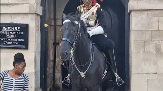 Tourist scared of horse jumps when the horse takes a pee 😆 🤣 😂 😆 🤣 😂 #horseguardsparade