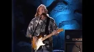 Crosby, Stills, Nash & Young - Love the One You're With (Live at Farm Aid 2000)