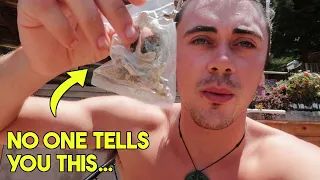 Magic Mushrooms in Mexico...What it's really like 🇲🇽