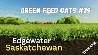 Silage & Hay from GREEN FEED OATS | Edgewater Sask | Time-Lapse | FS22 Console