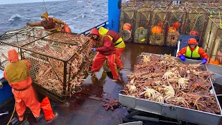 Amazing Snow Crab Fishing With Traps on the Boat - Awesome Big King Crab Trap Under The Sea